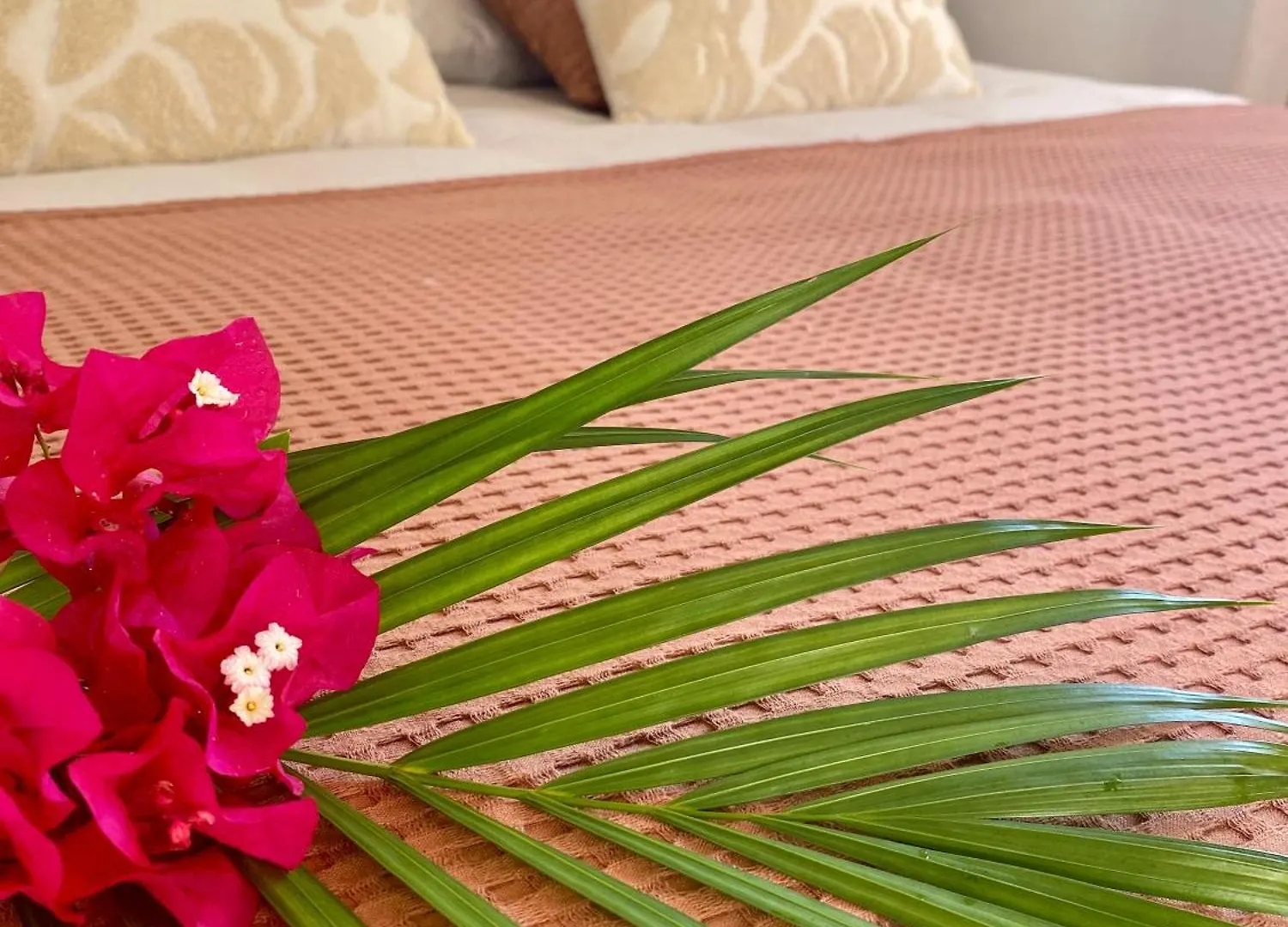 Villa Banana Au Helleux Sainte Anne Proche Spot De Surf Holiday home Sainte-Anne (Grande-Terre)