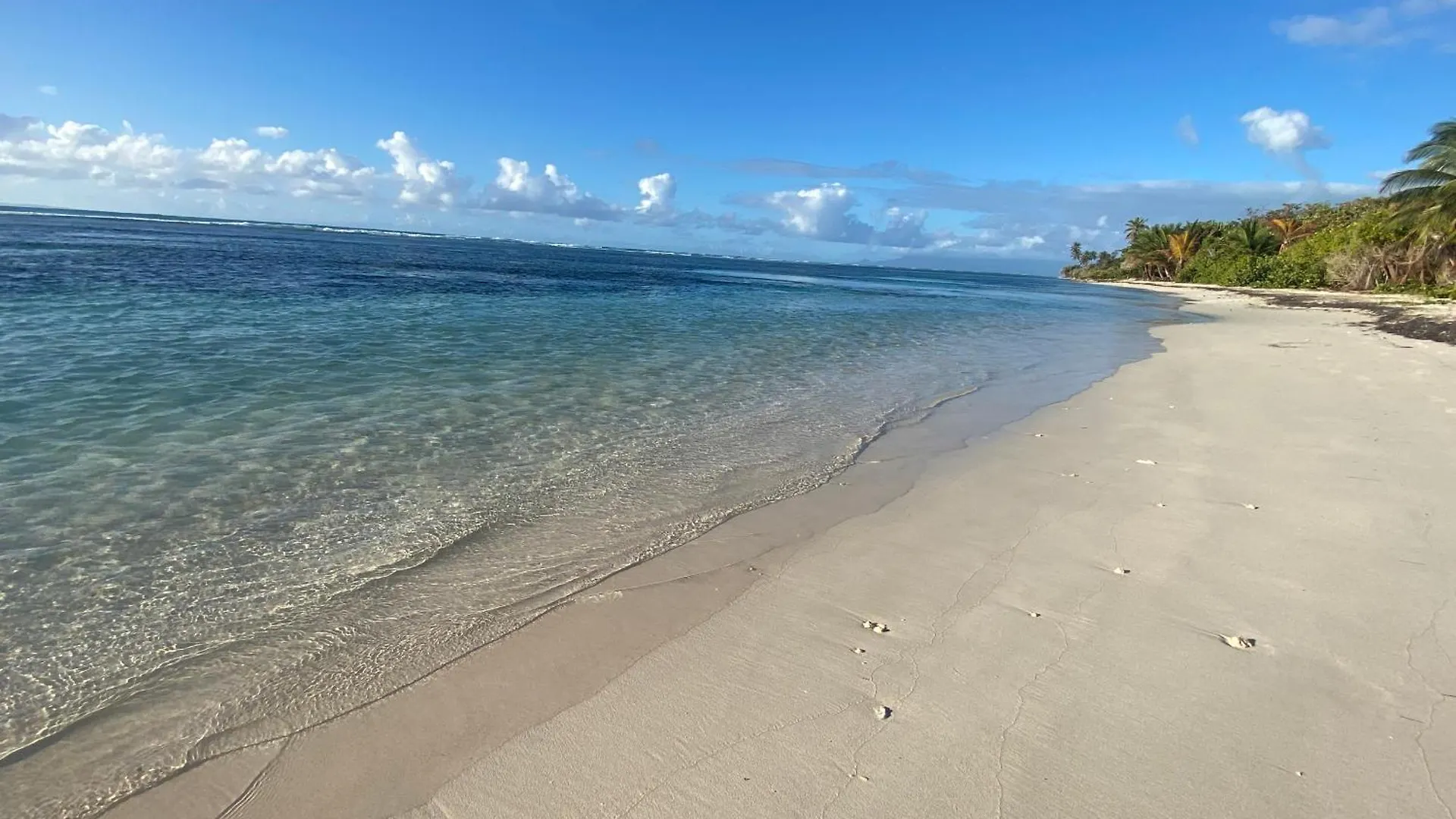 Villa Banana Au Helleux Sainte Anne Proche Spot De Surf Guadeloupe